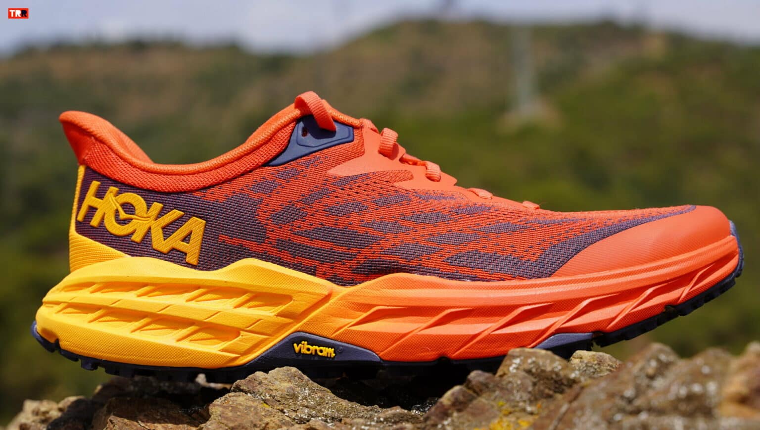 Hoka Width B Vs D: Check 5 Differences Before Choosing Size